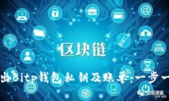 如何导出Bitp钱包私钥及账